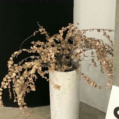 Furry色彩搭配实用技巧FurryQQ群